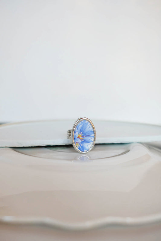 Anello 13