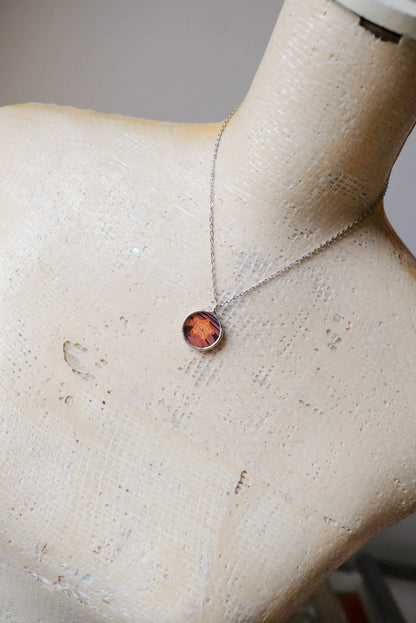 Collana biscottino